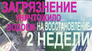 Погибший пруд + биопрепарат Микрозим Понд Трит. Технологии борьбы с загрязнением водоемов.