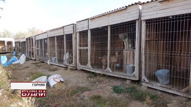 Наш Копейск 27 января смотреть онлайн