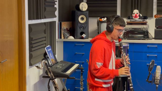Dolphin Shoals | Mario kart lick | Clarinet cover смотреть онлайн