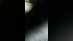 Renault Koleos рено колеос ремонт датчика уровня топлива не работает замена топливного фильтра