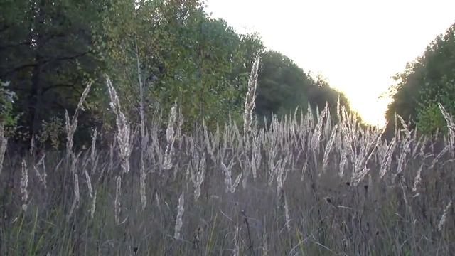 Вы знаете,что люди могут не вернуться смотреть онлайн
