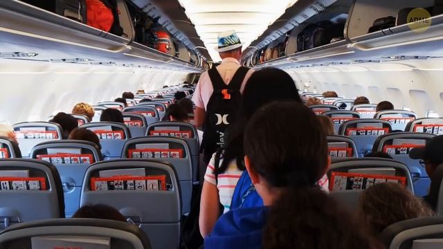 70 примеров, когда люди понятия не имели, на что они смотрят смотреть онлайн