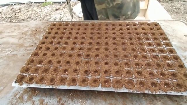 Посев капусты сеялкой точного высева//Деревня Channel// смотреть онлайн