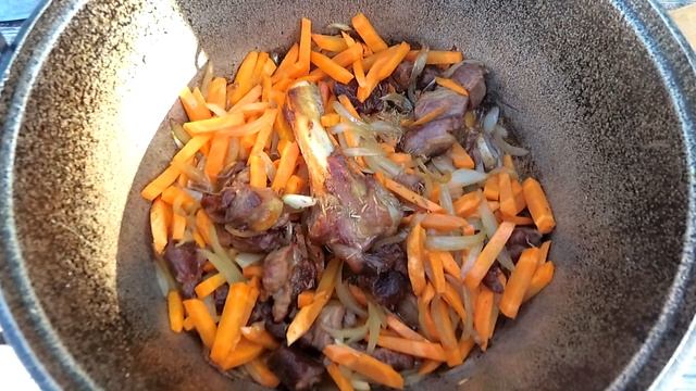 Наука о Животных и их Поведение