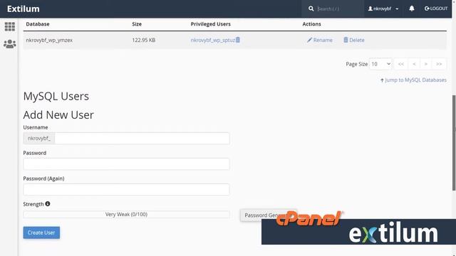 MySQL Databases Interface in cPanel - Extilum Hosting смотреть онлайн
