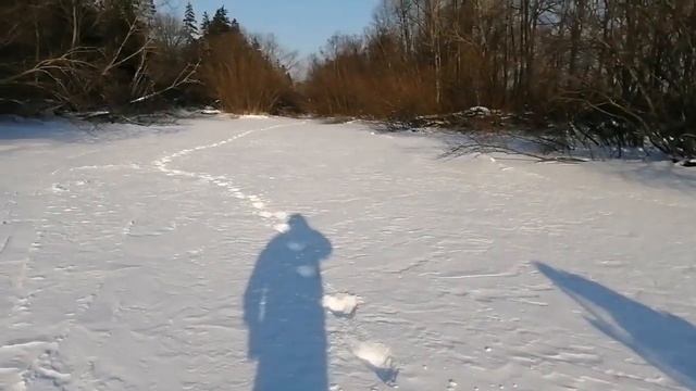 с тигром на рыбалку в январе. 2023 смотреть онлайн