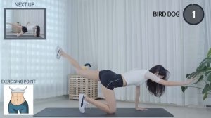 10 MIN FLAT BELLY PILATES AT HOME / TINY WAIST(NO WIDER) & CORE / BEGINNER FRIENDLY _Shirlyn Workou