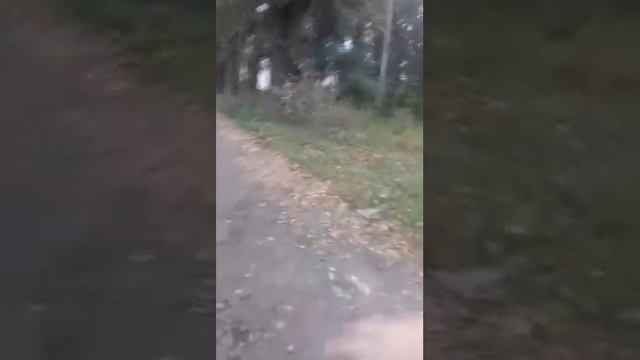 Нашли статую Сталина часть. 1 смотреть онлайн