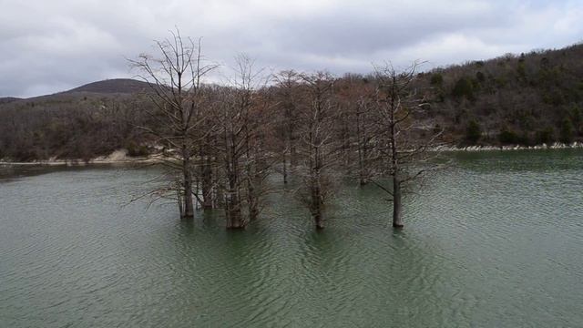 "Мангровое" озеро около Сукко. смотреть онлайн