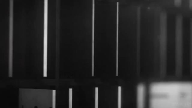 Как люди становились быстрее: официальные (и не очень) рекорды в марафоне ⏱ смотреть онлайн