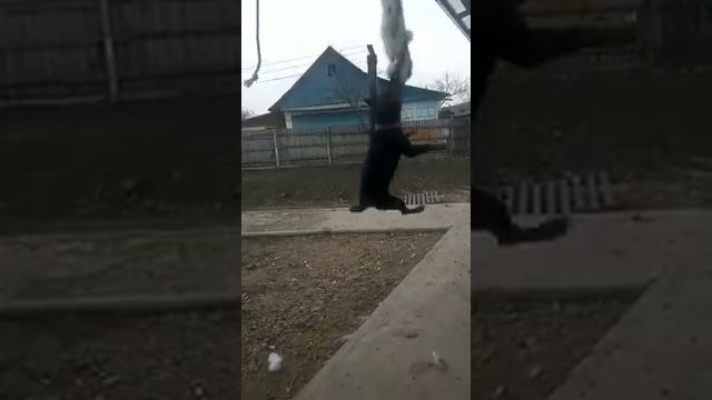 ЯГТЕРЬЕР НАСТОЙЧИВОСТЬ ХАРАКТЕРА смотреть онлайн