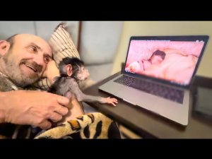 ТАКОЙ  МИЛЫЙ РОЛИК, что просто можно заплакать! Мы смотрим колыбельную для гамадрилят!