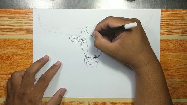 How to Draw Longhorn Cow Head смотреть онлайн
