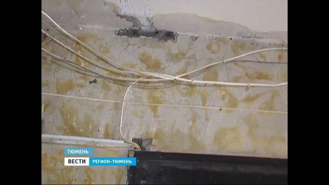 Жильцы одного из домов страдают от протекающей крыши смотреть онлайн