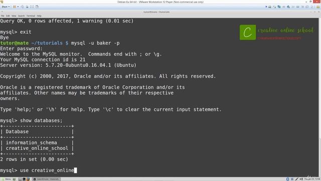 Practical Web Development: 22 Courses in 1 (119 Understanding SQL Types of Commands) смотреть онлайн