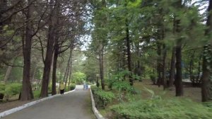 Военный санаторий Янтарь СКК Сочинский МО РФ. Часть 2 Территория.