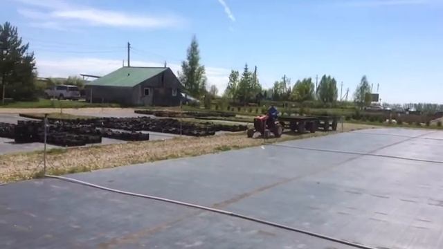 Митракс Т10 с телегами до 850 кг массой.Работает в одном из лучших питомников России "Агро" смотреть онлайн