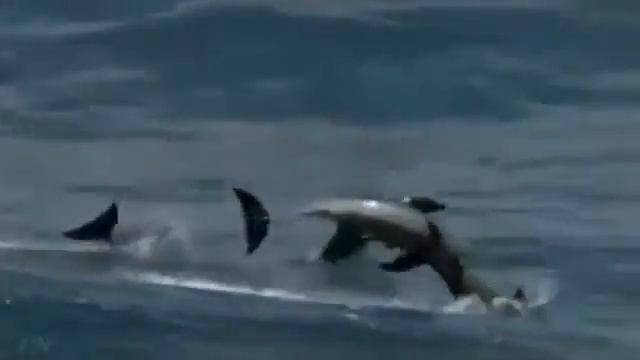 Скрипка и море Edvin Marton Tosca Fantasy смотреть онлайн