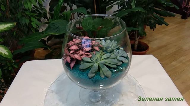 Флорариум "Нежность". Мини-сад из суккулентов. смотреть онлайн