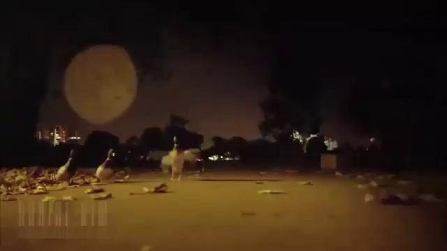 2013 en iyi hit MİX смотреть онлайн