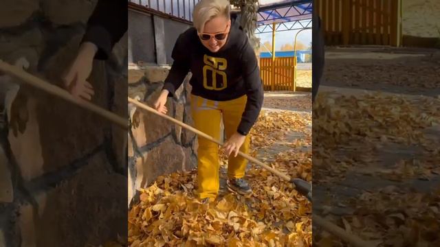 Осень,осень🍂🍂🍂#прикол#работа#осень#листья смотреть онлайн