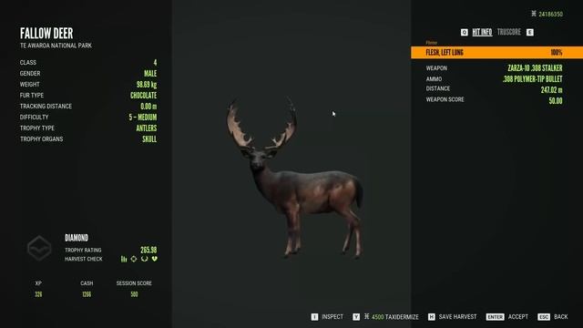 A New Look Fallow Multimount! | How I Grind for Fallow Deer смотреть онлайн