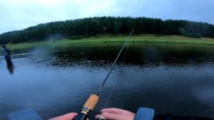 Жерех на Ультралайт | Ловля Хариуса и Окуня на Микроджиг