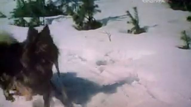Жизнь и приключения четырёх друзей.1 смотреть онлайн