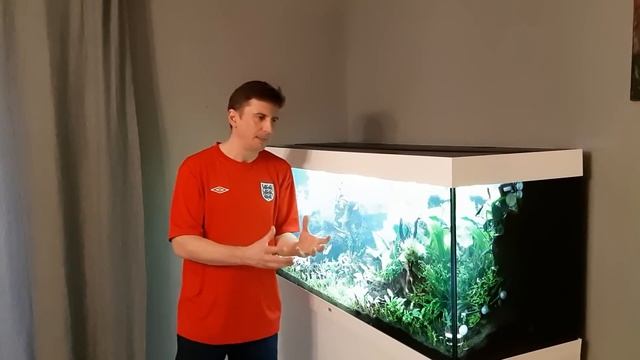 Аквариум, через месяц после запуска. Juwel 450 литров, акваскейп. Часть 20. смотреть онлайн