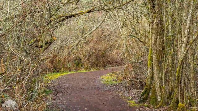 Top 10 Best Tourist Places to Visit in Bellevue, Washington | USA - English смотреть онлайн