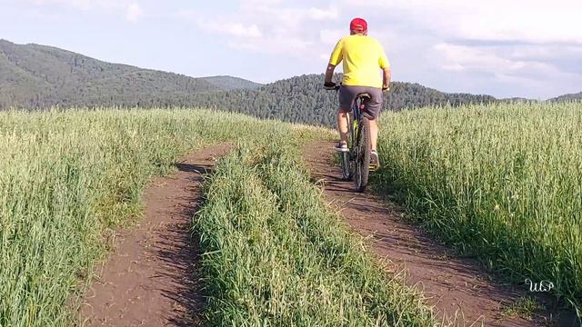 Республика АЛТАЙ, с. КАМЛАК ( июль 2023 г) смотреть онлайн