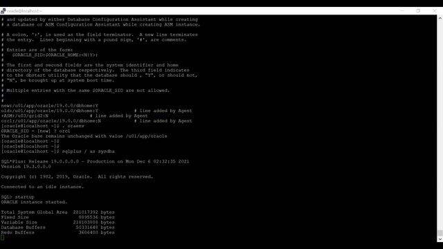 Oracle Database Vault Introduction Installation смотреть онлайн