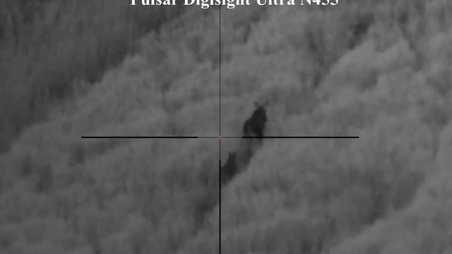 "Охота" на лосей с прицелом Pulsar Digisight Ultra N455 смотреть онлайн