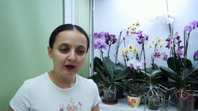 Мои ОРХО-ПОТЕРИ за 2021г. смотреть онлайн