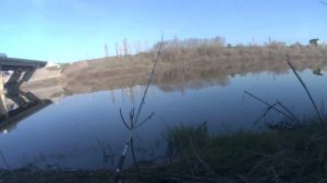 Рыбалка в Воронеже р.Дон ( Курский мост)