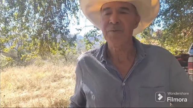 Hallazgos de plata y algo sorprendente Parte 2 смотреть онлайн