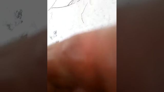 Подлёдная рыбалка. Горный Алтай. Катунь смотреть онлайн