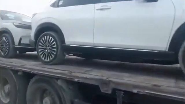 The border land shipment has been loaded смотреть онлайн