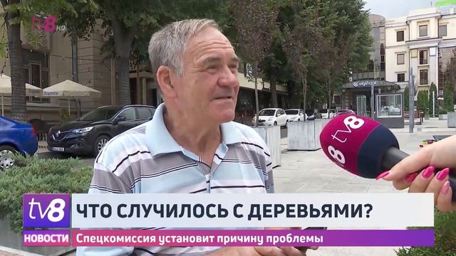 Что случилось с деревьями? Спецкомиссия установит причину проблемы смотреть онлайн