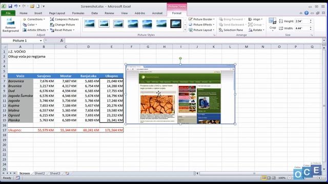 Kako se koristi Screenshoot & WordArt (Excel 2010) смотреть онлайн