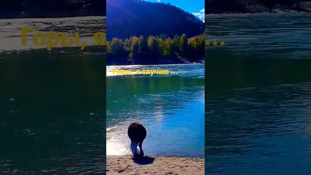 Горы - это целая вселенная, где ты обретаешь гармонию и умиротворение❤ Алтай. #горы #алтай #катун смотреть онлайн