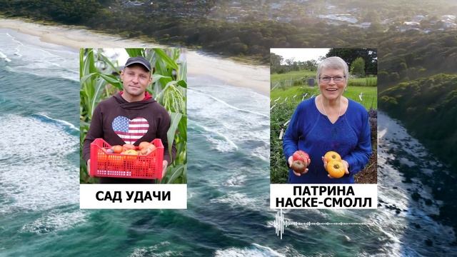 ЭКСКЛЮЗИВ! ВСЯ ПРАВДА О ТОМАТНЫХ ГНОМАХ ОТ ОСНОВАТЕЛЯ ПРОЕКТА! смотреть онлайн