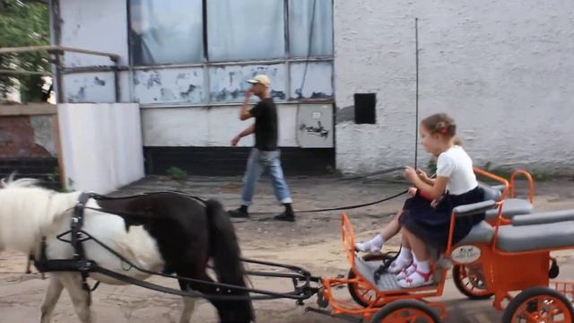 В карете с пони. The carriage with pony смотреть онлайн