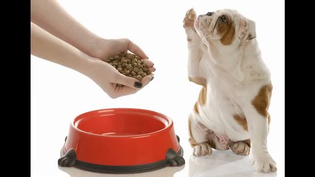 корм для собак purina смотреть онлайн