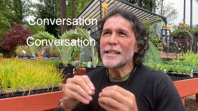 Five(ish) New(ish) Plants! смотреть онлайн