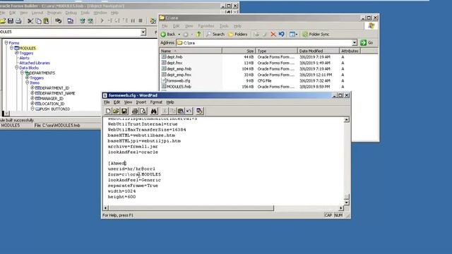 Fmx Form File Run Through URL смотреть онлайн