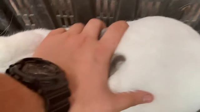 Итог по использованию Реасил смотреть онлайн