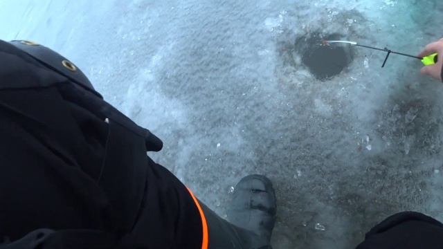 Ідемо к УСПІХУ! Множимо РЕЗУЛЬТАТ! Риболовля з льоду. 27.01.24 смотреть онлайн