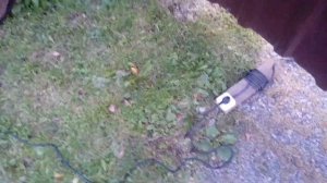 Фекальный насос вихрь фн-250 качает за 50 метров спокойно.