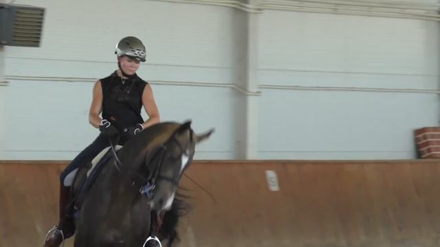 Крутой конный клуб под Рязанью. Взгляд изнутри.﻿ смотреть онлайн